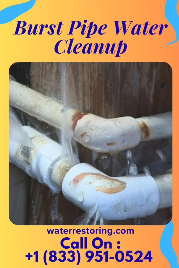Burst Pipe Water Cleanup in Kerrtown, PA