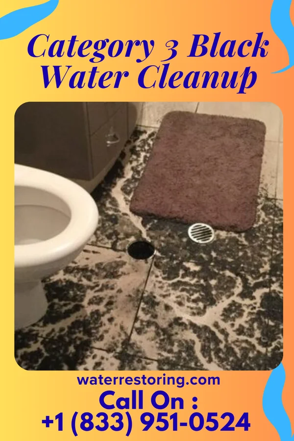 Category 3 Black Water Cleanup in Kerrtown, PA