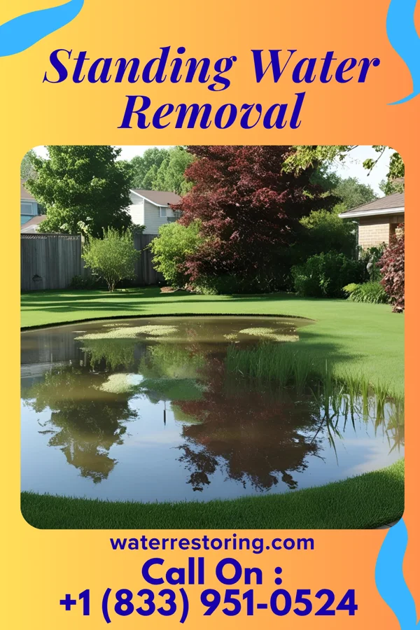Standing Water Removal in Kerrtown, PA